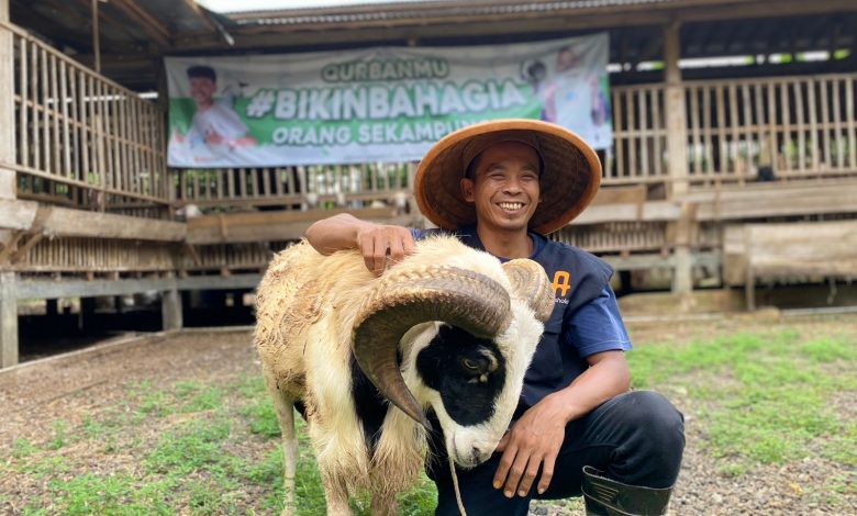 Bikin Bahagia Para Peternak Lokal