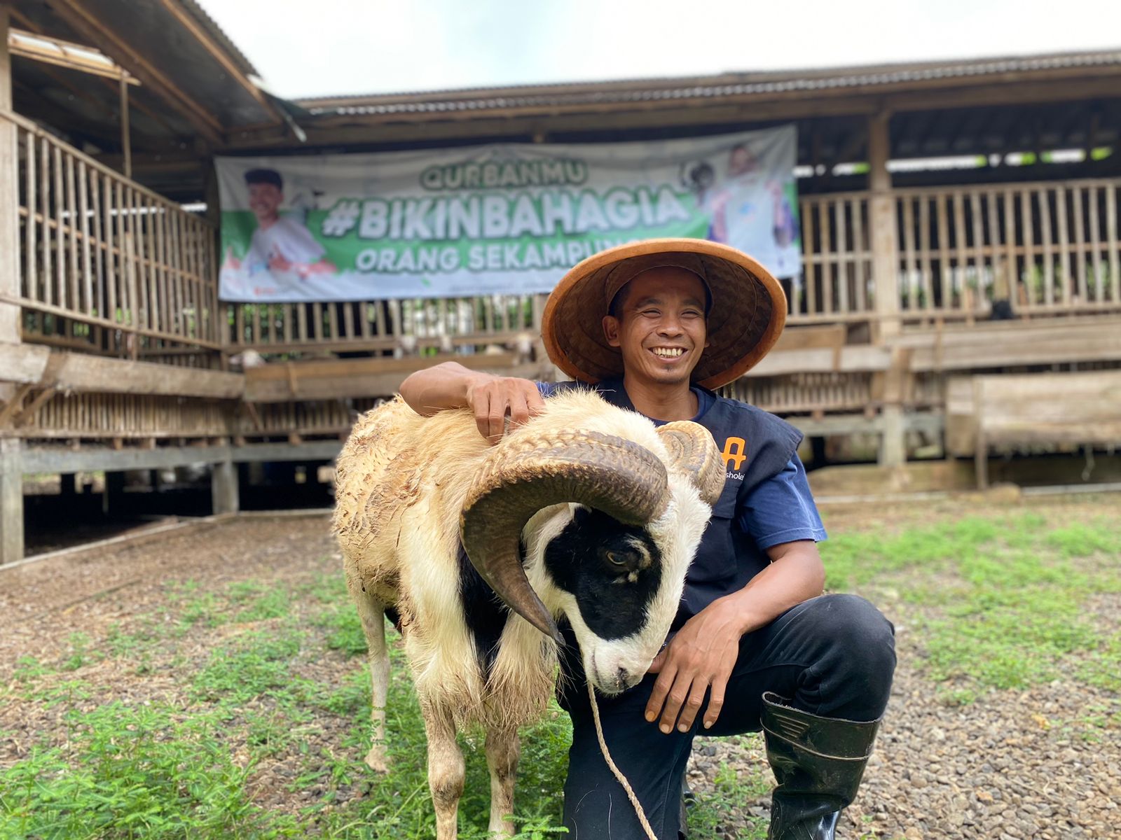 Berkah Qurban: Menebar Kebahagiaan dan Memberdayakan Peternak Lokal