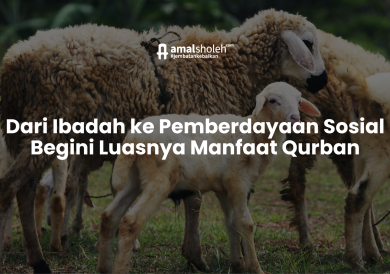 Photo of Dari Ibadah ke Pemberdayaan Sosial Begini Luasnya Manfaat Qurban